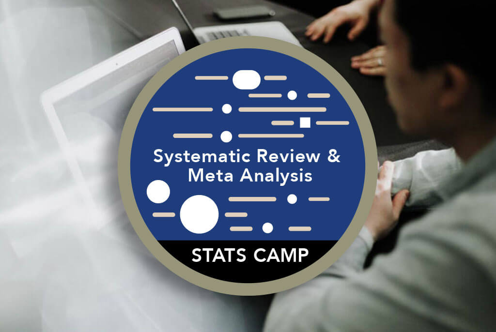 Systematic Review & MEta Analysis Statistics Seminar Short Course